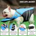 Petglad French Bulldog Life Jacket - Dog Life Vest with Handle & Reflective for Swim, Pool, Beach, Boating - Blue (Chest Girth 16.5-29.5) - Buy Online on GoSupps.com