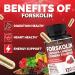 Cadane Forskolin Supplement with Garcinia Cambogia Gymnema Sylvestre Cinnamon Bark and More - Vegan Non-GMO 120 Capsules 60-Day Supply - Buy Online on GoSupps.com