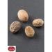 Spicy World Whole Nutmeg 3.5 Ounce - Authentic Indian Spice for Culinary Delights - Buy Online on GoSupps.com
