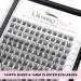 Glowing Win DIY Cluster Eyelash Extensions Set - 144 PCs Natural Individual Lashes 8-16mm with Bond Sea and Tweezers - Buy Online on GoSupps.com
