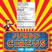 Regal Confections Jumbo Circus Pops Individually Wrapped Giant Colourful Lollipops - Bulk Candy Pack of 12 - Buy Online on GoSupps.com
