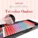 THE LASH SUPPLY Color Volume Eyelash Extensions CC Curl 13-18mm Length 0.07 Thickness - Multi Color Pack for Natural & Long-lasting Curl - Professional Use Only - Mixed Color Pack (10mm 12mm 14mm 16mm) - Buy Online on GoSupps.com