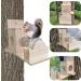 Squirrel Feeder Wooden Squirrel House Transparent Squirrel Feeders for Outside Garden Yard Corn Peanut Squirrel Feeder Squirrel Gifts Squirrel House Squirrel Houses for Outside Nesting Squirrel Gifts - Buy Online on GoSupps.com