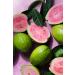 KORRES Guava Revitalising Shower Gel - Vegan Aloe Vera 250ml (Pack of 2) - International Shipping - Buy Online on GoSupps.com