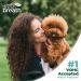 TropiClean Puppy Water Additive - 473ml | Enhance Your Puppy s Hydration | International Shipping - Buy Online on GoSupps.com