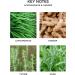 NEST Fragrances Lemongrass & Ginger Hand Soap - 10 Fl Oz - Buy Online on GoSupps.com