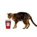 OakRidge Products 1 Quart Sharps & Biohazard Disposal Container - Buy Online on GoSupps.com