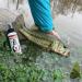 KVD Line and Lure Conditioner - 4oz Spray | Fishing Line Treatment for Freshwater/Saltwater Reels & Tackle Kit - Braid, Monofilament, Fluorocarbon - Buy Online on GoSupps.com