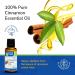 Earth's Care Cinnamon Cassia Oil - 100% Pure Essential Oil for Diffuser - 1 Fl OZ Cinnamon 1 Fl Oz (Pack of 1) - Buy Online on GoSupps.com