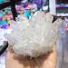 Natural Crystal Rough Crystal Decoration Natural White Angel Aura Crystal Cluster Electroplating Titanium Coating Quartz Cluster Stone Home Decoration 500-600g - Buy Online on GoSupps.com