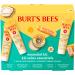 Burt's Bees Valentine's Day Gift Ideas - Essentials Everyday Set 5 Travel Size Products - Deep Cleansing Cream Hand Salve Body Lotion Foot Cream and Original Lip Balm Everyday Essentials Set- New