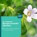 Potter's Herbals Memory & Concentration | Contains Bacopa Monieri | 60 Easy-to-Swallow Capsules - Buy Online on GoSupps.com