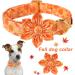 Buy Aring Pet Autumn Dog Collar - Adjustable Yellow & Orange Flower Design for Small to X-Large Dogs - Perfect for Fall - Buy Online on GoSupps.com