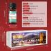 EUQEE Holiday Cheer Fragrance Oils Set - Forest Pine, Christmas Wreath, Brown Sugar, Harvest Spice, Gingerbread, Pumpkin Pie - 10ml Scented Oils for Diffuser and Candle Making - Buy Online on GoSupps.com