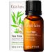 Gya Labs Pure Australian Tea Tree Oil for Skin, Hair, Face & Toenails (0.34 fl oz) - 100% Therapeutic Natural Melaleuca Tea Tree Essential Oil for Piercings, Scalp & Hair Growth Tea Tree 0.34 Fl Oz (Pack of 1)