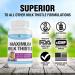 Maximum Milk Thistle 240mg - 90 Caps - Liver Detox Support with Silybin Phytosome - Natural Wellness - Buy Online on GoSupps.com