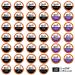 San Francisco Bay Coffee OneCUP Flavored Variety Pack 40 Ct Compostable Coffee Pods | K Cup Compatible for Keurig 2.0 | 40 Count Pack of 1 - Buy Online on GoSupps.com
