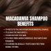 Stalwart 165862-itp Macadamia Shampoo 400 ml - Buy Online on GoSupps.com