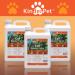 KinderPet Cat Repellent Spray Big Value 5L Refill Stop Cats Anti Fouling Cat Deterrent Stop Fouling Pooping Peeing Urinating Scratching Lavender Lemon Orange - Buy Online on GoSupps.com