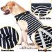 Doton Hospital Suit for Dogs & Cats - Wound Protection Medical Clothing for Puppies | After Surgery Recovery | Comfortable Replacement Collar & Cone (S Blue Striped) - Buy Online on GoSupps.com