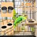 Tfwadmx Bird Food Stainless Steel Cups Wooden Perch Stand - Hanging Feeder Bowls for Parakeets, Conures, Cockatiels, Budgie Parrot - Feeding & Watering Supplies - Buy Online on GoSupps.com