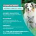 LiquidoCare Immun for Cats & Dogs - Immune System Support Supplement 180ml Tonic with Dosing Cap | International Shipping Available - Buy Online on GoSupps.com