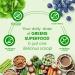 Designer Wellness, Designer Greens Superfood Powder with Prebiotics, Probiotics, Antioxidants, and Detox Support, 30 Servings Greens Superfood 7.16 Ounce (Pack of 1) - Buy Online on GoSupps.com