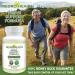 Neuro Health Nerve Support Formula with B12 and Alpha Lipoic Acid - Neuropathy Supplement - 60 Count Bottle - Buy Online on GoSupps.com