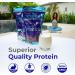 Superfood Vegan Protein (Vanilla) | Plant-Based Protein with Superfoods & Probiotics for Muscle Recovery | 15 Servings - Buy Online on GoSupps.com