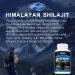 Shilajit Capsules 3000mg - Natural Humic & Fulvic Acid Supplement - 120 Capsules - Buy Online on GoSupps.com