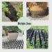 Set of 12 HZXMKB Cat Repellent Outdoor Indoor Scat Mats - Garden Plastic Spikes Scratch Network - Stop Dogs and Cats - Animal Barrier - Buy Online on GoSupps.com