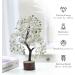 Jade Stone Bonsai Tree: Real Crystals & Healing Stones - Spiritual Gifts for Women, Desk Decor for Living Room & Office - Green Jade Tree - Buy Online on GoSupps.com