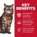 Hill's Science Diet Adult Sensitive Stomach & Skin Wet Cat Food Pouch - Salmon & Tuna - 2.8 oz (24 Pack) - Buy Online on GoSupps.com