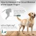 Ortocanis Kniebandage f r Hunde - Links Gr e S | Bandage f r Kreuzbandverletzungen Patella-Luxation & Osteoarthritis - Buy Online on GoSupps.com