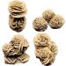 1pcs Natural Desert Rose Seleniteraw Crystal Stone Specimen Rough Sample Cluster fengshui Decor NaturalReiki Decoration dingchi Home Collections (Size : 200-230g) - Buy Online on GoSupps.com