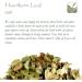 Hawthorn Leaf Organic Flower Tea - High Food Grade 100g (Pack of 1) - Hawthorne Leaves and Flowers - Buy Online on GoSupps.com