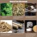 Moxibustion Box with 60 Moxa Sticks - White Moxibustion Tool for Acupuncture Therapy & Healing - Buy Online on GoSupps.com