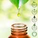 Organic Citronella Oil 10ml - 100% Pure Essential Oil for Aromatherapy & Therapeutic Use - Laborbio - Buy Online on GoSupps.com