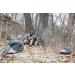 Walker's Razor Slim Electronic Quad Earmuff 23dB Realtree Xtra Camo - One Size - Buy Online on GoSupps.com
