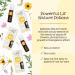 Oilogic Kids Bug Bites & Itches Roll-On Essential Oil - Tea Tree, Citronella & Spearmint Blend for Safe Aromatherapy | Soothing Relief with 100% Pure Oils Diluted with Castor & Jojoba Kids Friendly - Buy Online on GoSupps.com