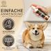 Pfotengut Dog Fur Care Spray 250ml | Vet-Developed Nourishing & Detangling Spray with Jojoba Oil & Chamomile | Silky Glossy Fur for All Dogs - Buy Online on GoSupps.com