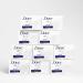 Dove Beauty Bar 3.75 oz, 10 Bars - More Moisturizing than Soap, Washes Away Bacteria, Nourishes Skin - Buy Online on GoSupps.com