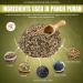 TAJ Premium Indian Panch Puran 5 Spice Blend - 3.5 oz (Pack of 1) - Buy Online on GoSupps.com