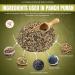 Taj Premium Indian Panch Puran 5 Spice Blend - 21oz (1lb) Pack of 1 - Buy Online on GoSupps.com