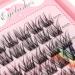 Bodermincer Large Capacity D Curl Eyelash Extensions 10-12-16mm Mix - Natural Style Individual Mink Strip Lashes for Home DIY - Buy Online on GoSupps.com
