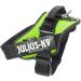 Buy IDC Powerharness 2XL/3 - Kiwi Green | International Shipping Available - Buy Online on GoSupps.com