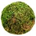 SuperMoss (25440) Moss Ball, Fresh Green, 2" Pack of 4 Fresh Green 2"