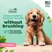 TropiClean Fresh Breath Dental Gel for Puppies - No Brushing 59ml - Made in USA | Best Oral Care for Pets - Buy Online on GoSupps.com