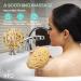 XFO Natural Sea Sponge - Medium 5in Wool Sponge for Bathing Showering & Exfoliating | Eco-Friendly Loofah Alternative Sourced from USA - Buy Online on GoSupps.com