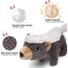 Sedioso Plush Dog Toys 3-Pack | Sweet Squeaky Play Set for Puppies & Dogs of All Sizes - Buy Online on GoSupps.com